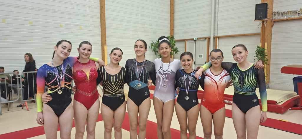Finales Régionales Individuelles Fédéral A GAF à Nogent-le-Rotrou le 9 et 10&nbsp;mai